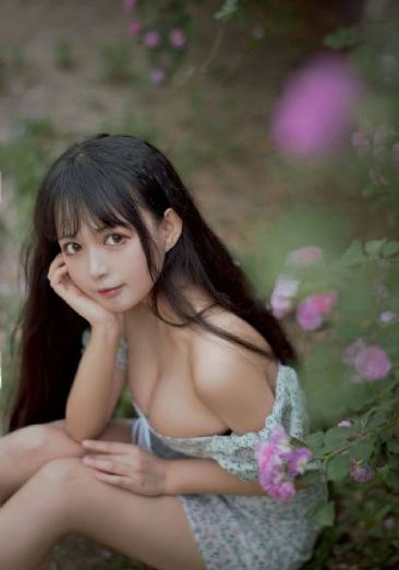 九重紫电视剧免费观看西瓜影视_在线电影观看